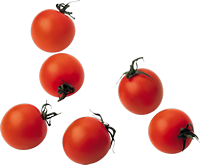 Помидоры (томаты).