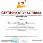 Сертификат участника "Формула успеха"
